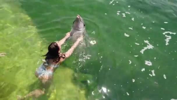 Flickan Simmar Med Delfiner Simning Flicka Med Delfin — Stockvideo