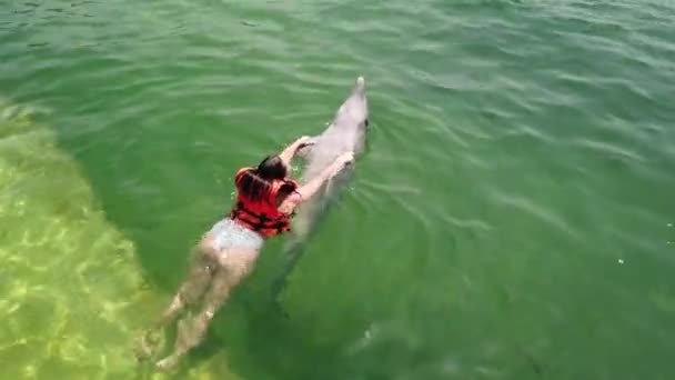 Mädchen Schwimmt Mit Delphin Schwimmendes Mädchen Mit Delfin — Stockvideo