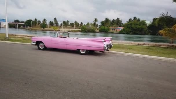 Варадеро Matanzas Куба Квітень 2019 Кінні Вози Циркулюють Варадеро — стокове відео