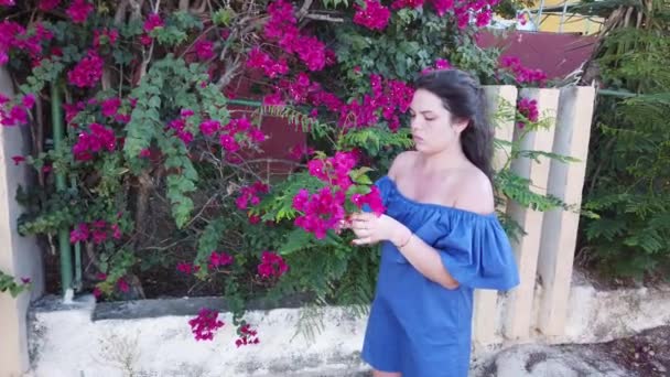 Young attractive brunette woman walks on the background of red spring flowers in park. Girl with red flowers in her hands. — Stock Video