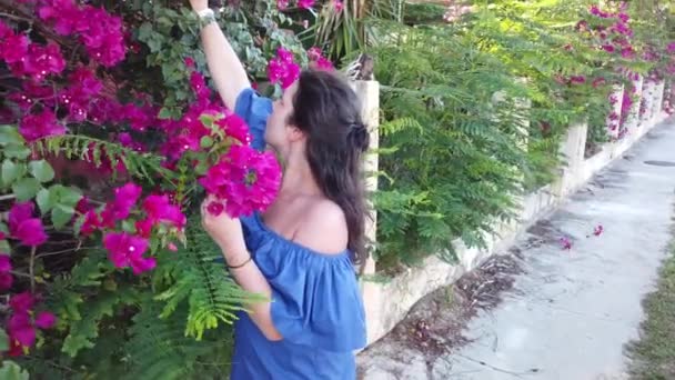 Young attractive brunette woman walks on the background of red spring flowers in park. Girl with red flowers in her hands. — Stock Video