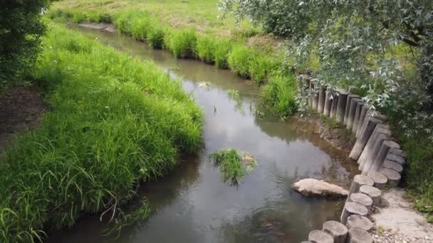 River Stream View Green Grass — Stock Video