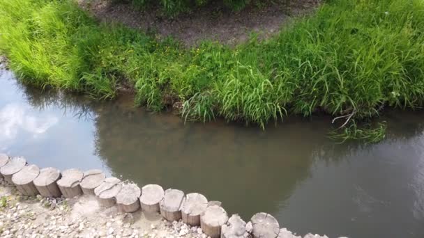 Tampilan Aliran Sungai Dengan Rumput Hijau Samping — Stok Video