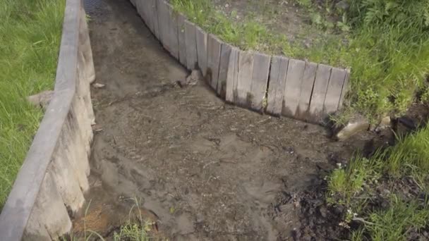 Fiume Vista Torrente Con Erba Verde Oltre — Video Stock