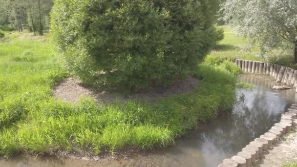 Vue Sur Ruisseau Avec Herbe Verte — Video