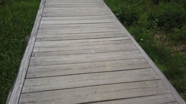 Câblage au ralenti d'un ancien pont en bois. Le pont est fait de planches de bois dur .