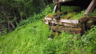 Kutsal bahar gremyachiy Klyuch. Svyatogorye. Moskova bölgesi, Sergiev Posad bölgesi, Vzglyadnevo köyü