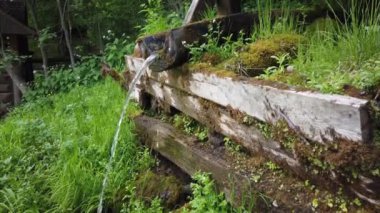 Kutsal bahar gremyachiy Klyuch. Svyatogorye. Moskova bölgesi, Sergiev Posad bölgesi, Vzglyadnevo köyü