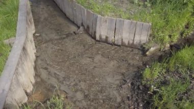 Yanı sıra yeşil çim ile Nehir dere görünümü