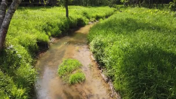 River patak megtekintéséhez zöld fű mellett — Stock videók