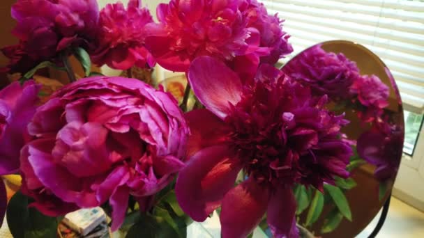 Bouquet Red Peonies Home Table — Stock Video