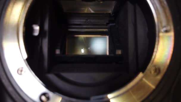 Kameranın Matrisi Kameranın Deklanşörü Çalışıyor — Stok video
