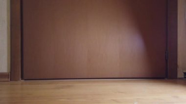 Kırmızı kedi tabağından kuru yemek yer.