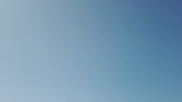 Samolot Niebie Pokazuje Dane Akrobacji — Wideo stockowe