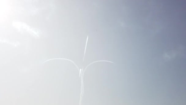 Skydiver Terhadap Langit Berawan Biru Terbang Bawah Dengan Bendera Federasi — Stok Video