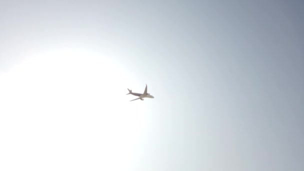 大乘客白色和蓝色飞机在天空中飞行 在剪影与蓝天背景的飞天飞机 现代交通和航空 客机进行示范飞行 — 图库视频影像