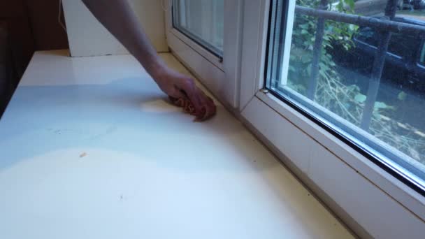 布で男の手を拭く窓辺からのほこり — ストック動画