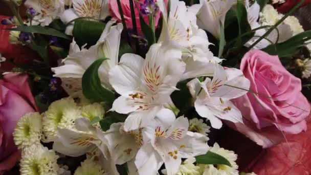 Hermoso Ramo Flores Flores Multicolores Cerca Humor Festivo — Vídeo de stock