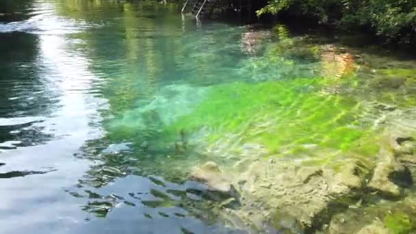 Creisticamente Limpa Água Limpa Lago Rio — Vídeo de Stock