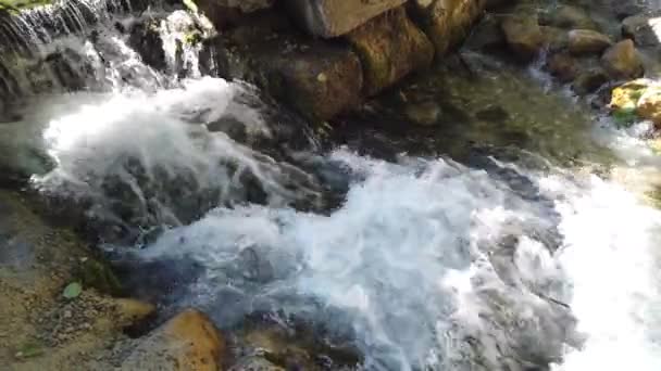 Bubbling Waterfall Small River — Stock Video