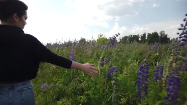 Brunetka Dziewczyna Chodzi Boisku Liliowymi Kwiatami Łubinu Dziewczyna Pięknym Polu — Wideo stockowe