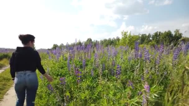 Esmer Kız Tarlada Leylak Çiçekli Lupinlerle Yürüyor Güzel Bir Lupin — Stok video