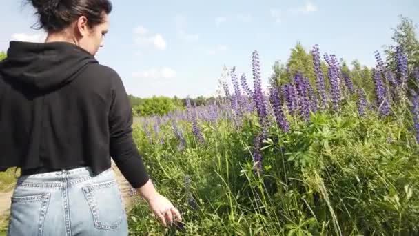 Brunette Girl Walks Field Lilac Flowers Lupins Girl Beautiful Lupin — Stock Video