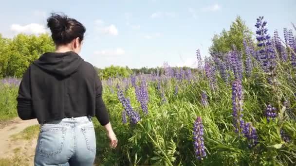 Brunette Girl Walks Field Lilac Flowers Lupins Girl Beautiful Lupin — Stock Video