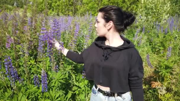 Brunette Girl Walks Field Lilac Flowers Lupins Girl Beautiful Lupin — Stock Video