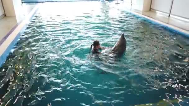 Niña Nadando Con Delfines Entrenados Delfinario — Vídeo de stock