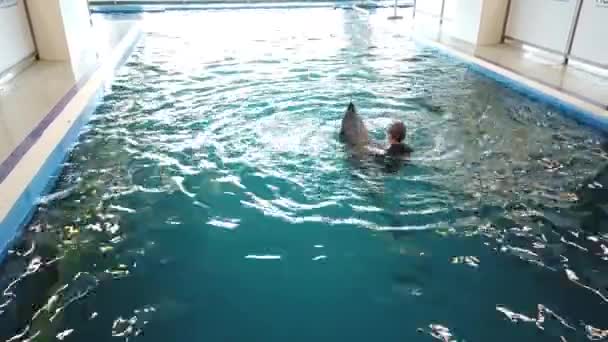 在海豚馆和经过训练的海豚一起游泳的女孩 — 图库视频影像