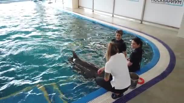July 2020 Moskvarium Moscow Russia Girls Swim Trained Dolphin Dolphinarium — Stock Video