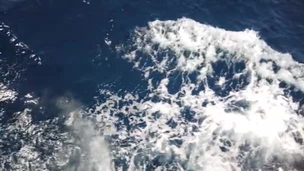 Водный След Синей Поверхности Моря Плавучего Корабля Вблизи Тропа Бирюзовой — стоковое видео