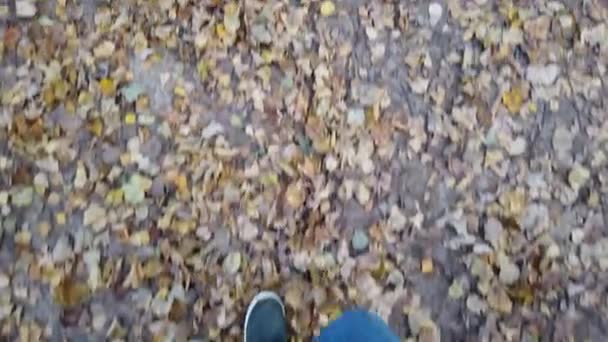 Férfi Lábak Tornacipőben Haladnak Előre Földön Lehullott Sárga Levelekkel Borítva — Stock videók