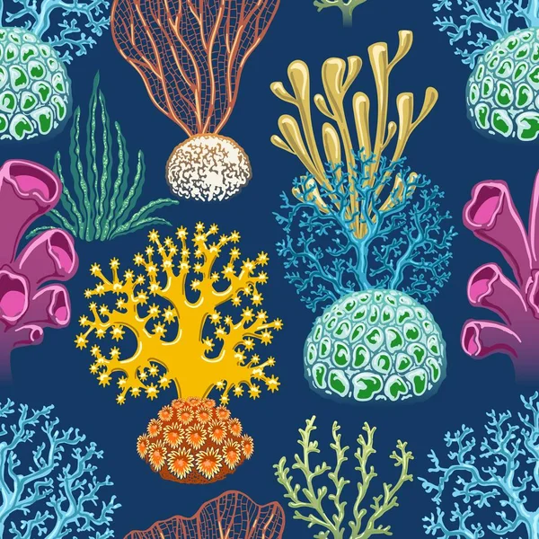 Seaweeds colorful background — Stock Vector