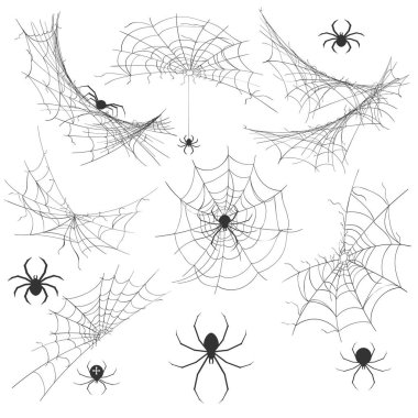 Örümcek örümcek ağı ile. Zehri örümcek vektör çizim Cadılar Bayramı arka plan grafiklerini, vintage ürpertici köşe spiderweb dekorasyon için