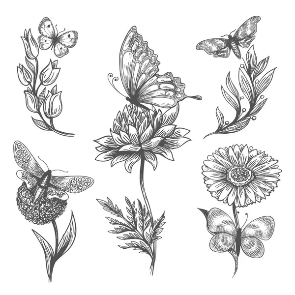 Mariposa y flores garabatos bosquejo iconos — Archivo Imágenes Vectoriales