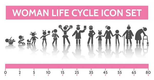 Žena životního cyklu ikony — Stockový vektor