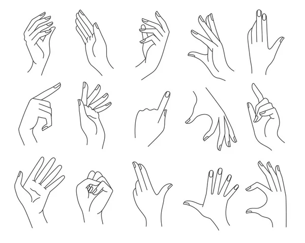 Line woman hands gestures — Stock Vector