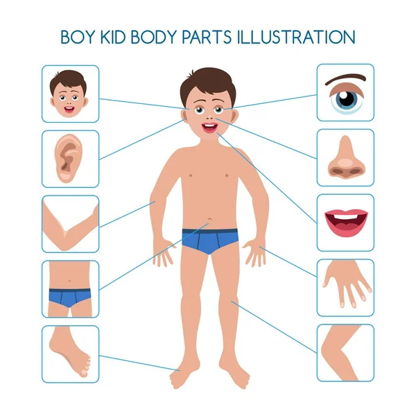 Αγόρι παιδικά μέρη του σώματος — Διανυσματικό Αρχείο