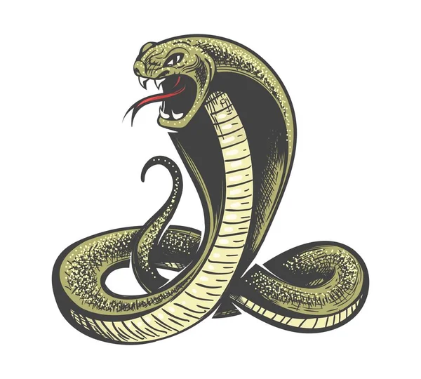 Cobra serpiente atacando — Archivo Imágenes Vectoriales