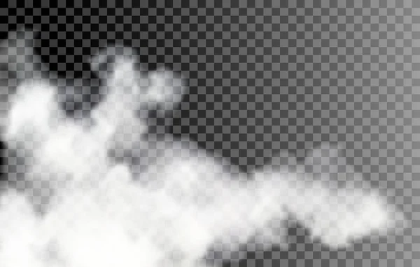 Niebla sobre fondo transparente — Vector de stock