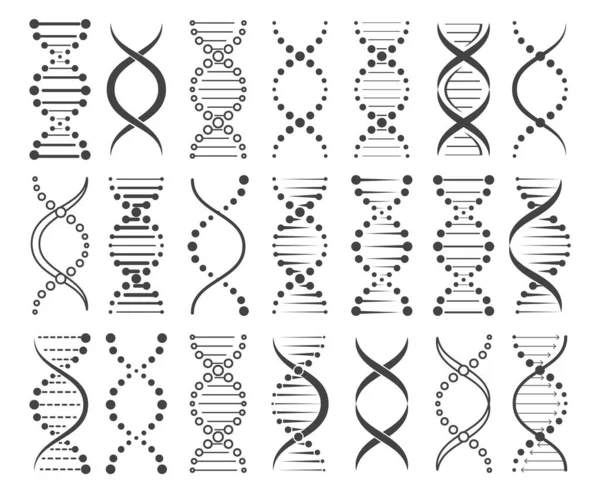 Структура эскиза хромосом — стоковый вектор