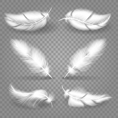 Gerçekçi beyaz tüyler