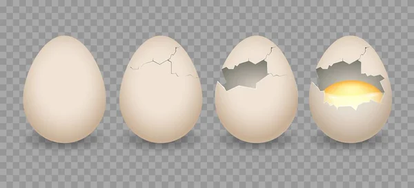 Ovos rachados realistas —  Vetores de Stock