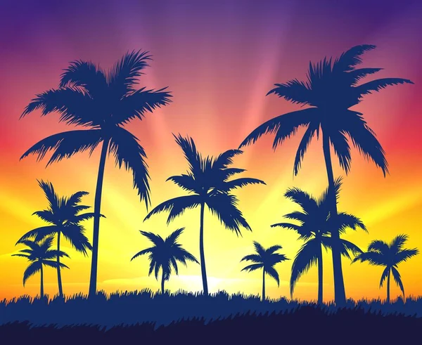 Siluetas de árboles tropicales al atardecer — Vector de stock