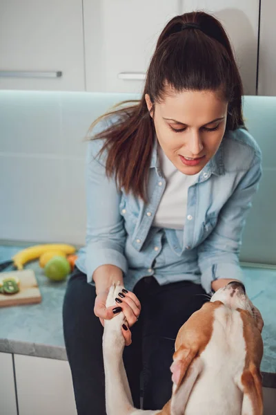 Женщина Играет Своей Собакой Держит Лапы Сидя Кухонном Столе — стоковое фото