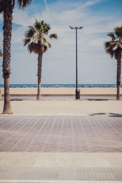 Valencia Promenade Het Strand Een Zomerdag — Stockfoto