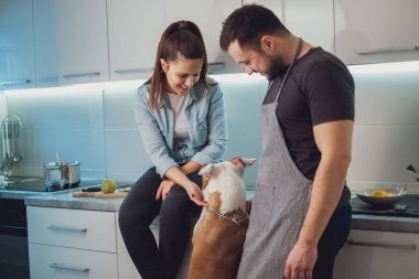 Smiling couple playing with their dog in the kitchen. Dog is standing up while woman is sitting on the countertop clipart