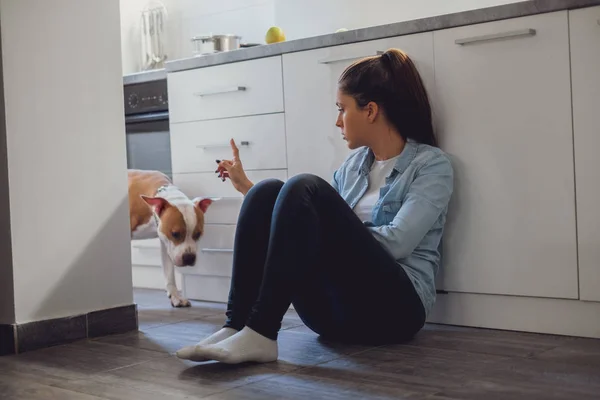 Girl Scolding Her Dog While Sitting Kitchen Floor — Stock Photo, Image